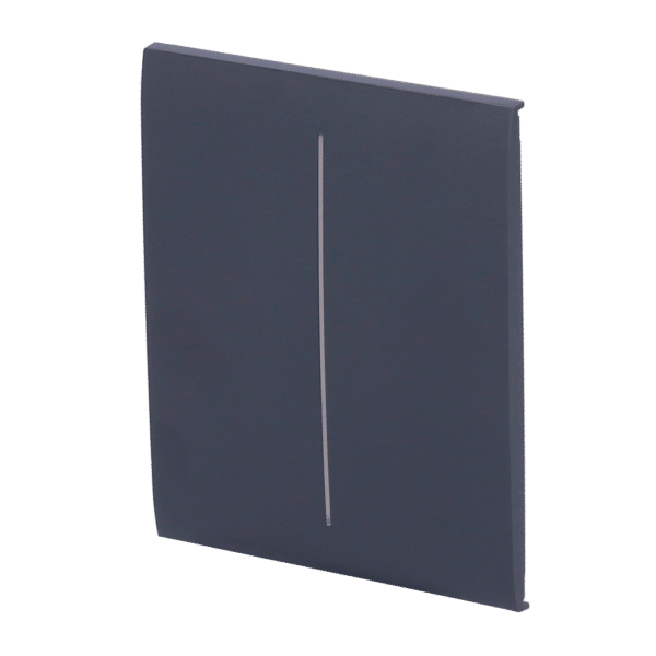 Panel táctil para interruptor de luz doble  - Compatible con AJ-LIGHTCORE-2G - Retroiluminación LED - Panel táctil central sin contacto - Color grafito - Ajax - LightSwitch CenterButton