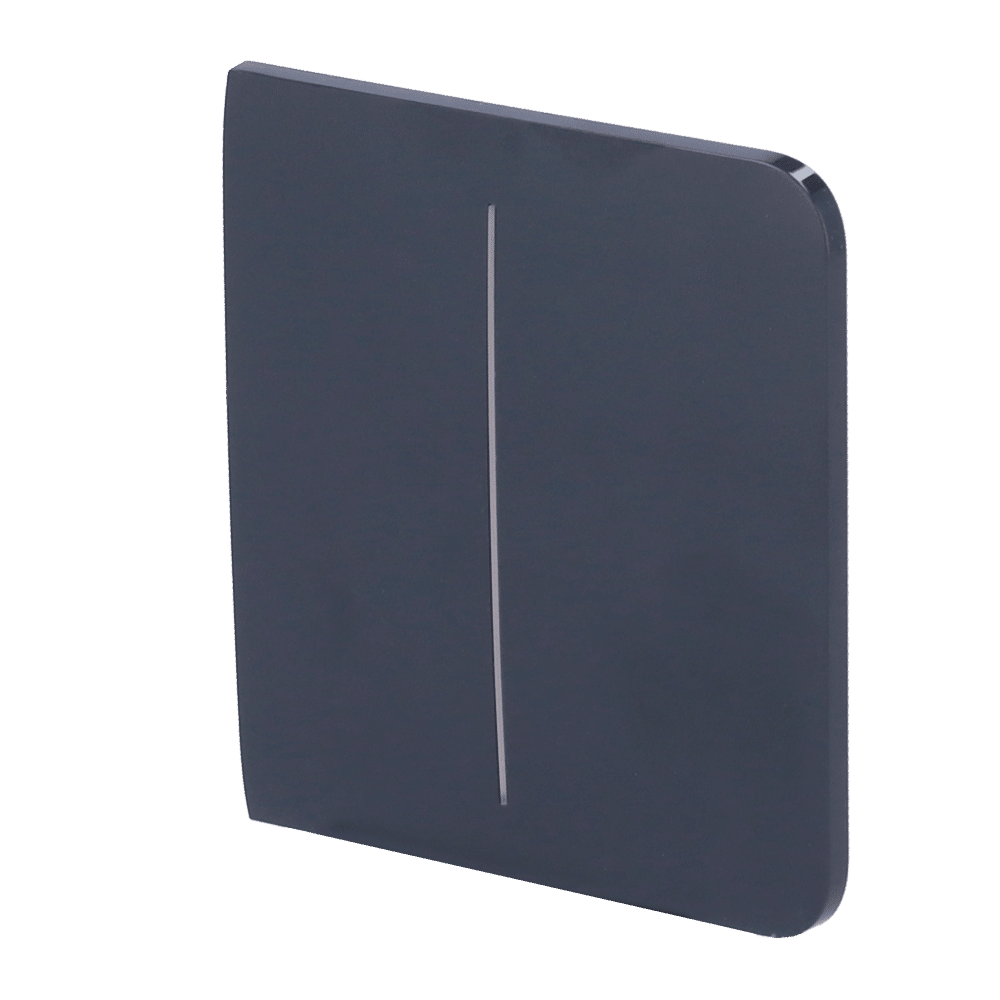 Panel táctil para interruptor de luz doble - Compatible con AJ-LIGHTCORE-2G - Retroiluminación LED - Panel táctil lateral sin contacto - Color grafito - Ajax - LightSwitch SideButton