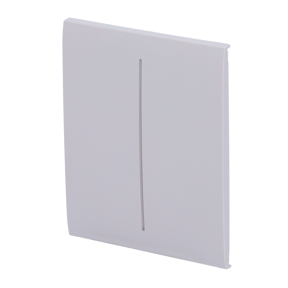 Ajax Panel táctil para interruptor de luz doble color niebla AJ-CENTERBUTTON-2G-FOG
