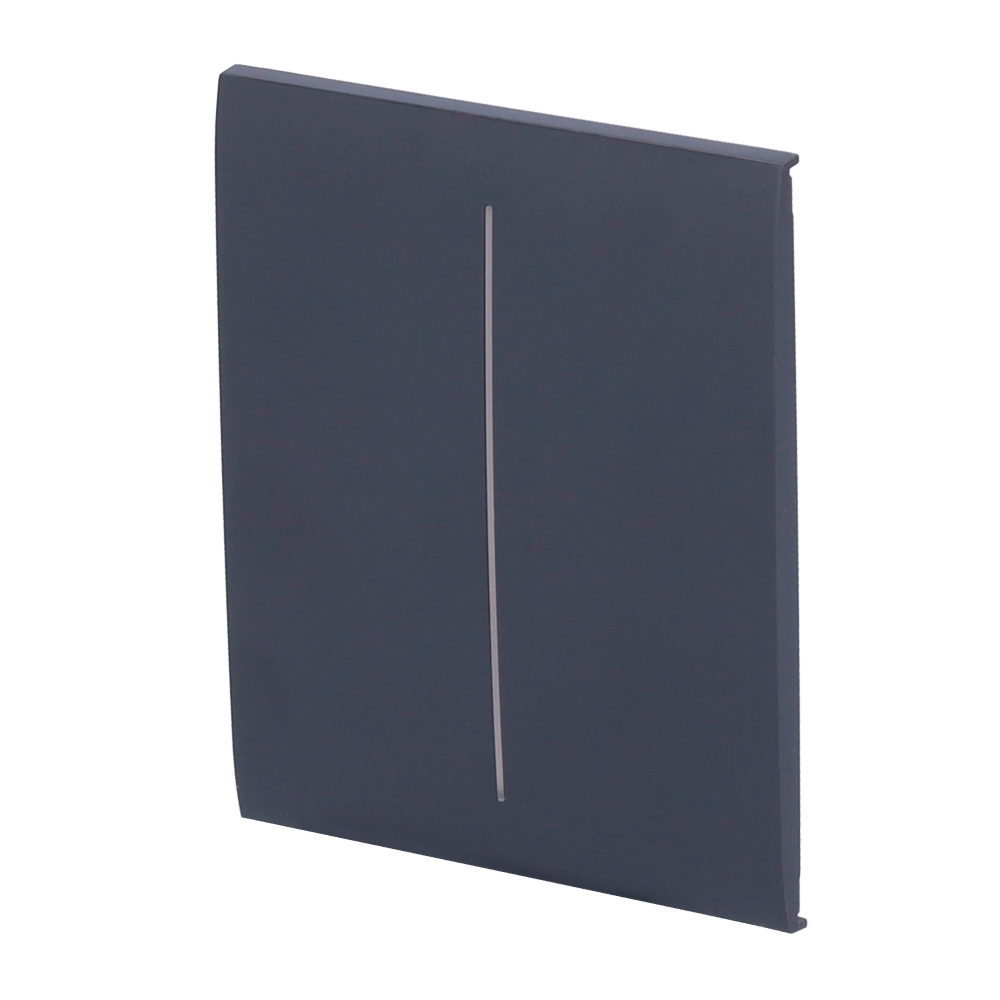 Ajax Panel táctil para interruptor de luz doble color grafito AJ-CENTERBUTTON-2G-GRA