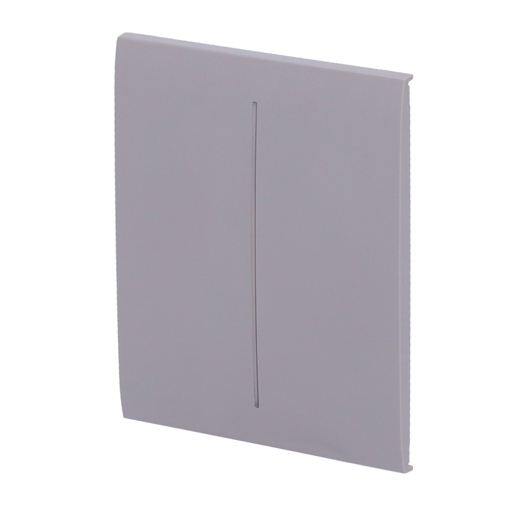 Ajax Panel táctil para interruptor de luz doble color gris AJ-CENTERBUTTON-2G-GRE