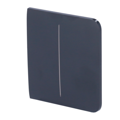 Ajax Panel táctil para interruptor de luz doble color grafito AJ-SIDEBUTTON-2G-GRA