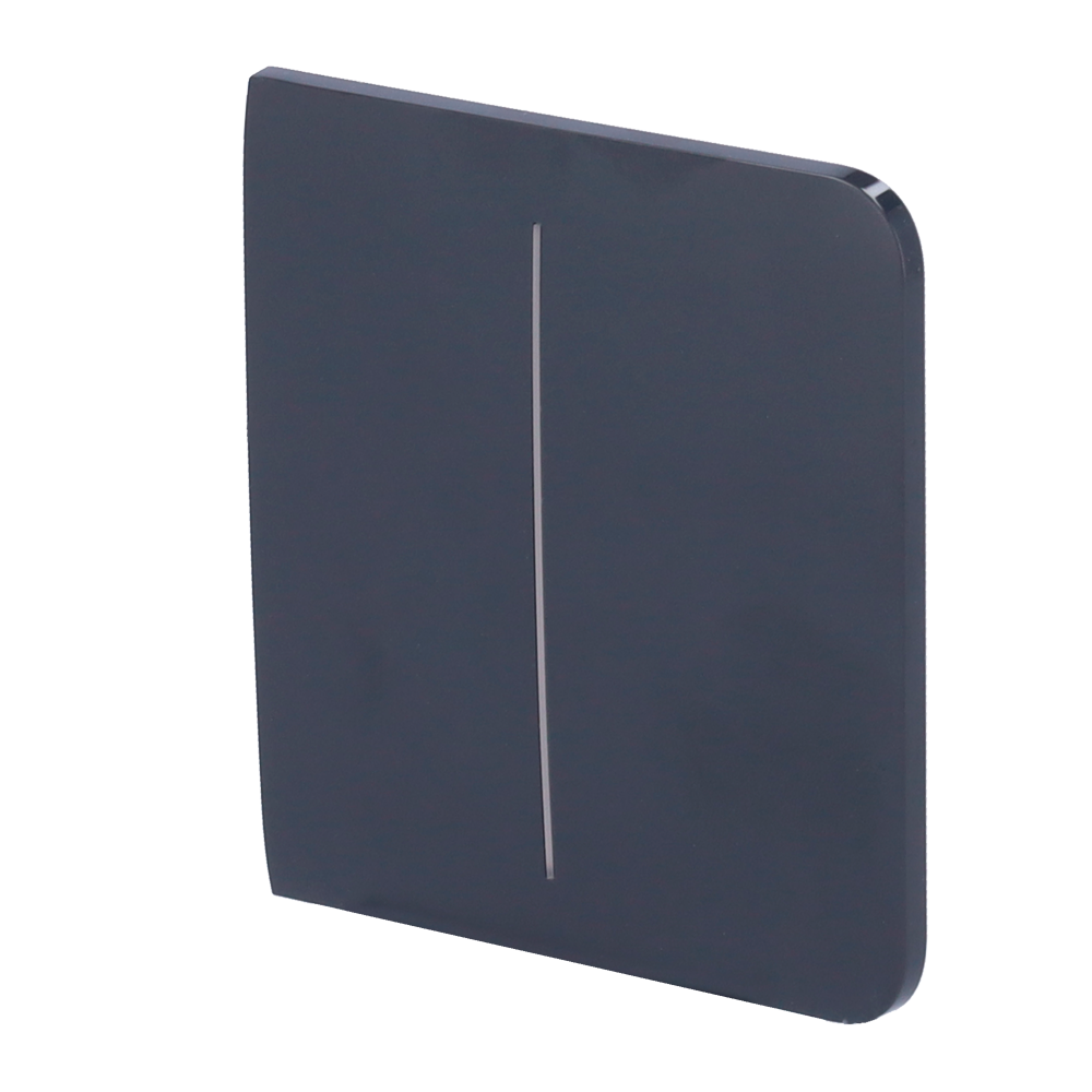 Ajax Panel táctil para interruptor de luz doble color grafito AJ-SIDEBUTTON-2G-GRA