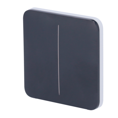 Ajax Panel táctil para interruptor de luz doble color grafito AJ-SOLOBUTTON-2G-GRA