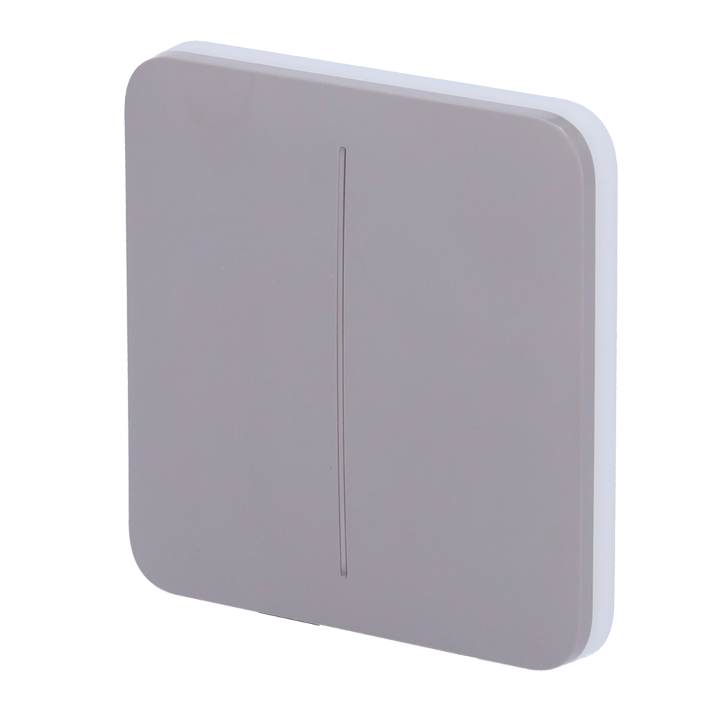 Ajax Panel táctil para interruptor de luz doble color gris AJ-SOLOBUTTON-2G-GRE