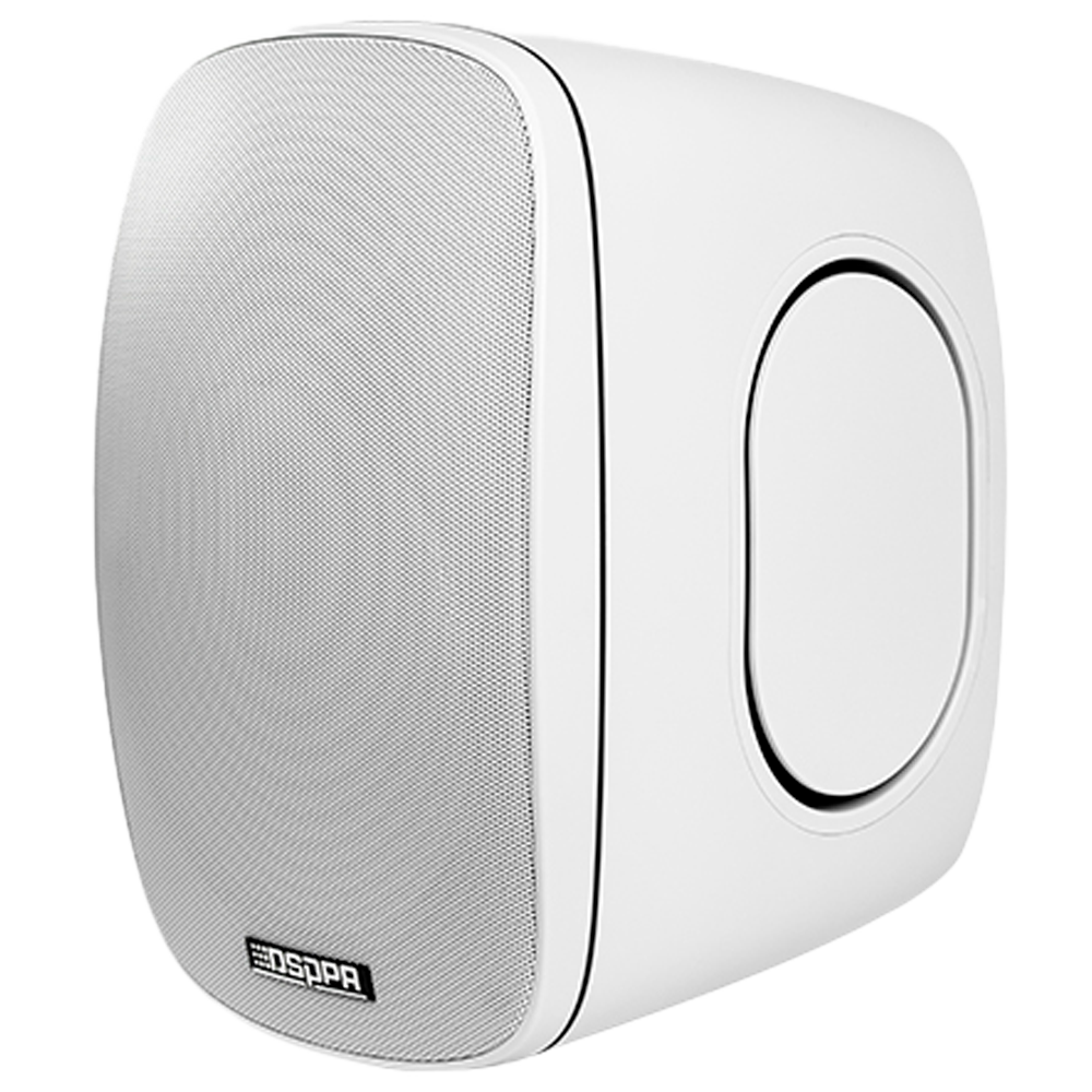 Dsppa Altavoz de techo Altavoz de rango completo 1x6.5" + 1x1" color blanco DSPPA-DSP6050W