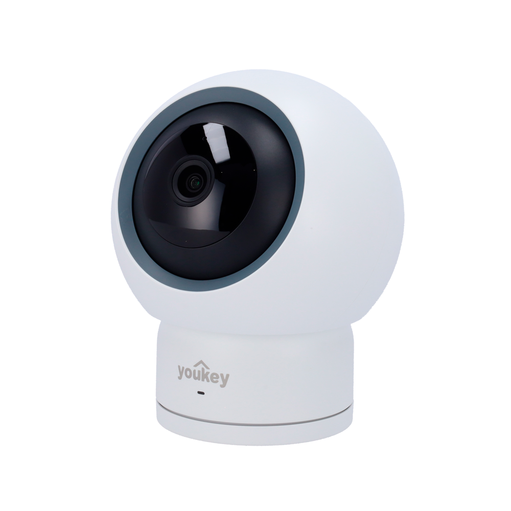 Youkey Cámara PT 4 MP 4 MP, 2.8 mm YOK-P310