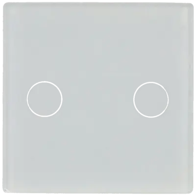 Panel de interruptor simple con 2 botones
